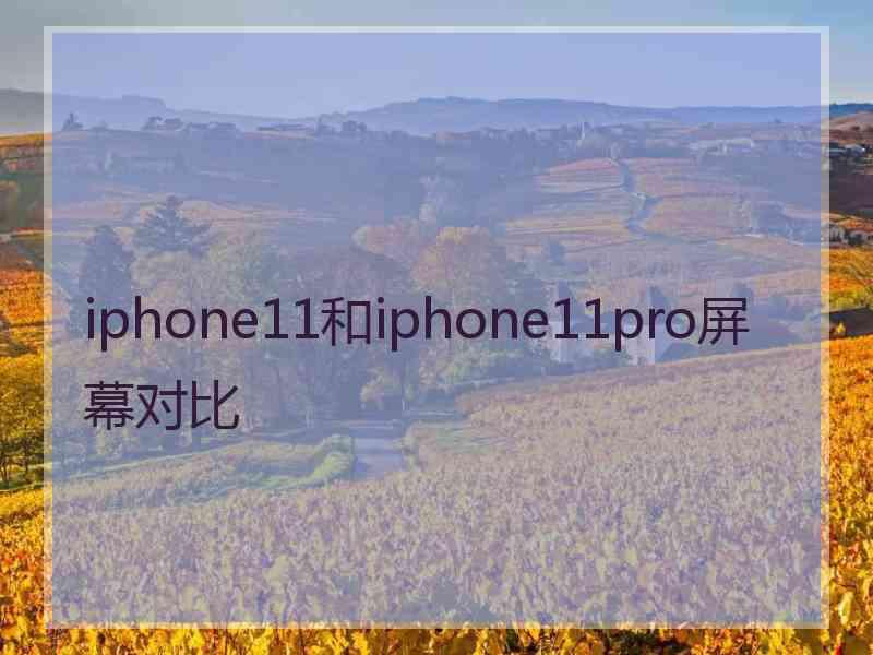 iphone11和iphone11pro屏幕对比