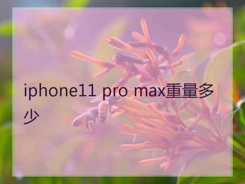 iphone11 pro max重量多少