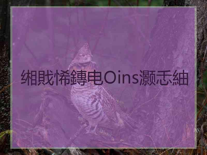 缃戝悕鏄电Оins灏忎紬