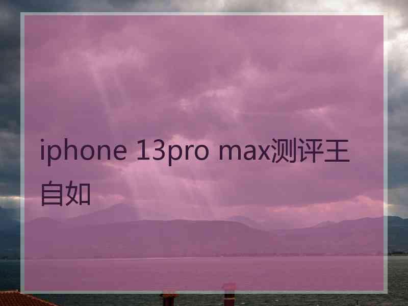 iphone 13pro max测评王自如