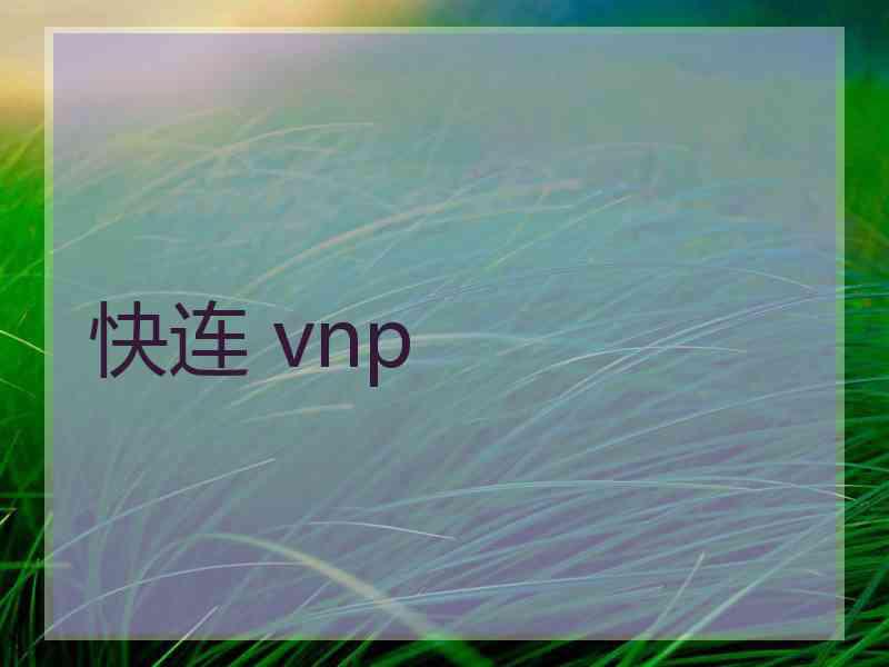 快连 vnp