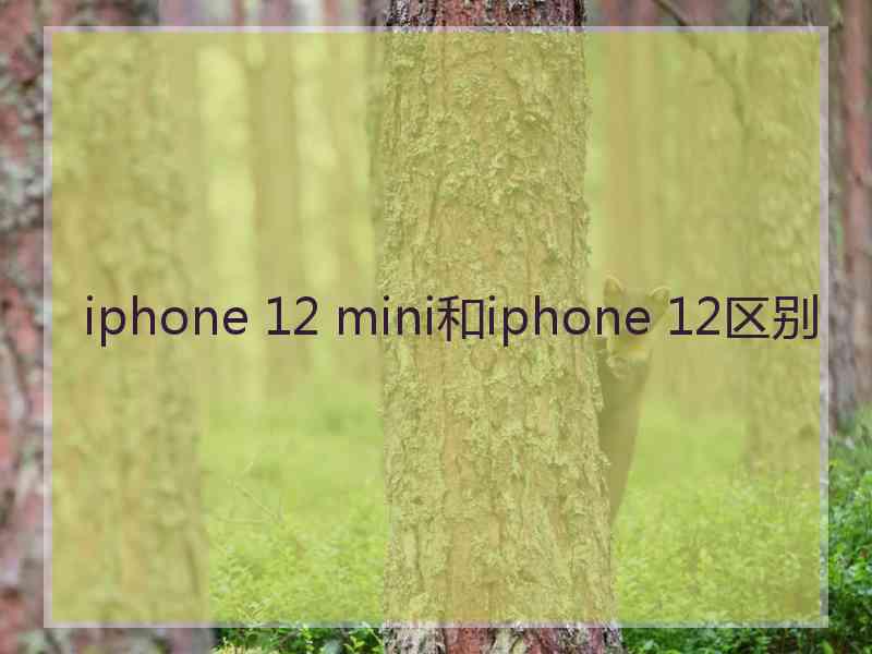 iphone 12 mini和iphone 12区别