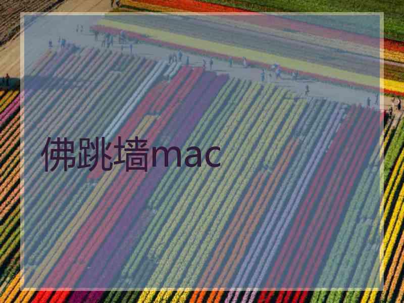 佛跳墙mac