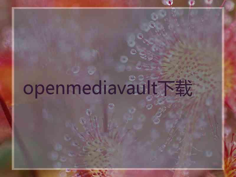 openmediavault下载