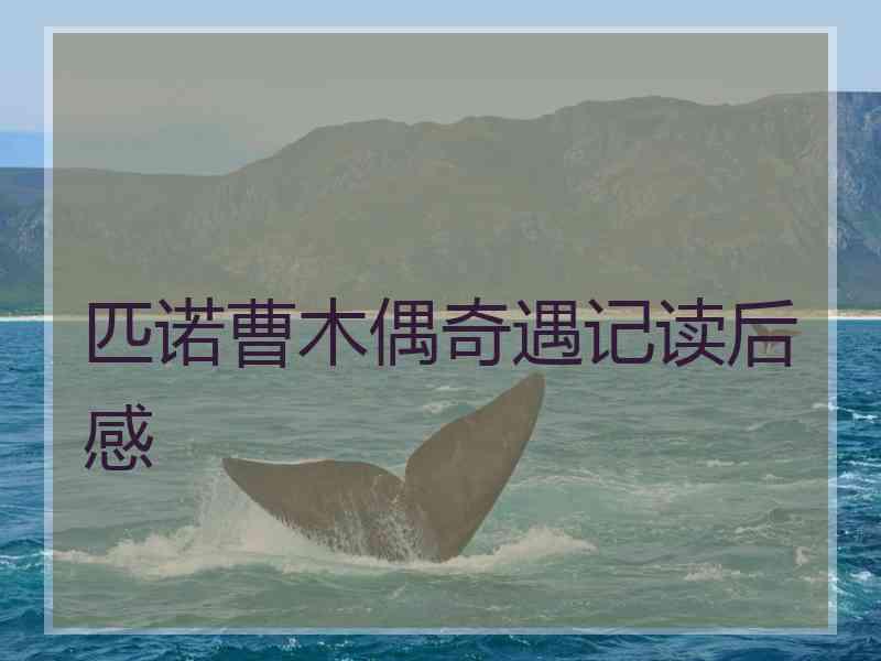 匹诺曹木偶奇遇记读后感