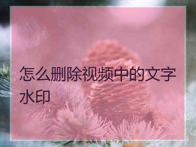 怎么删除视频中的文字水印