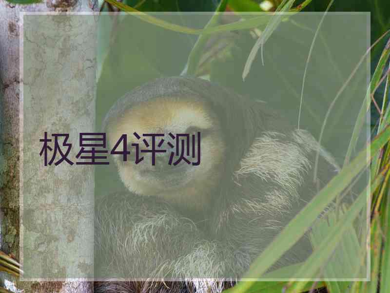 极星4评测