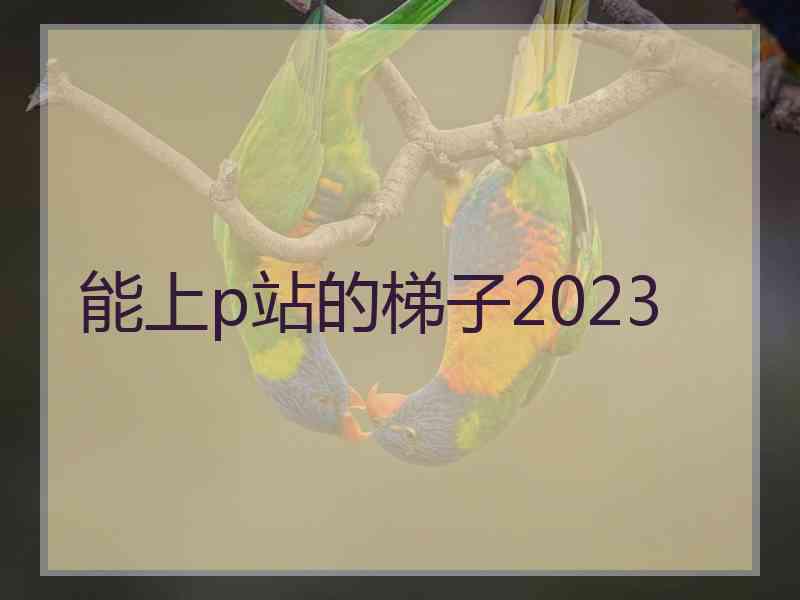 能上p站的梯子2023