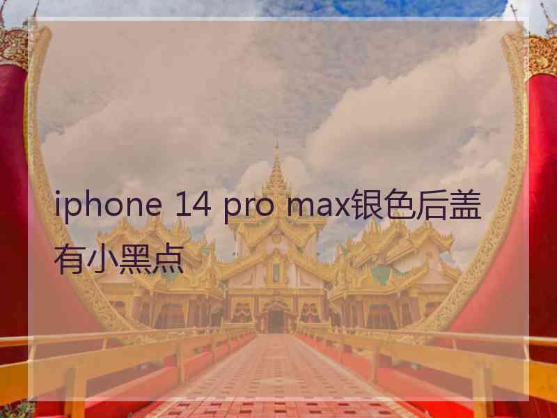 iphone 14 pro max银色后盖有小黑点