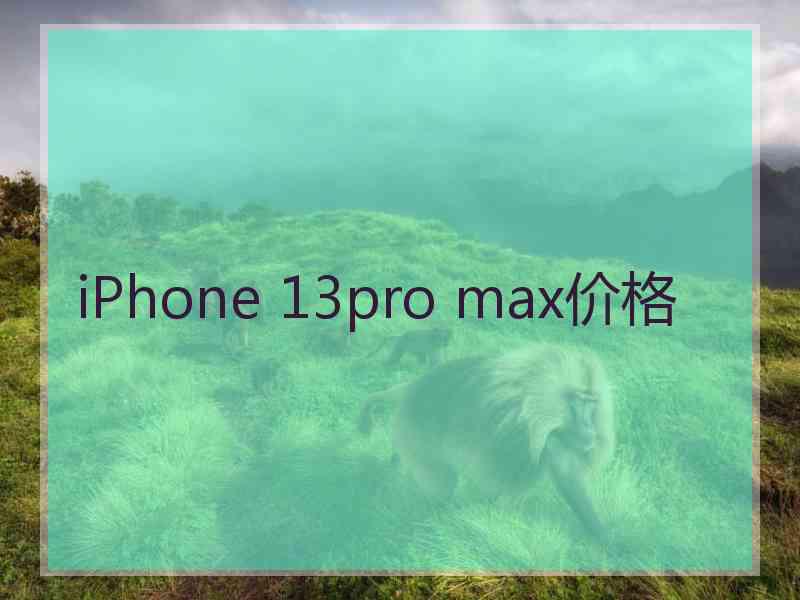 iPhone 13pro max价格