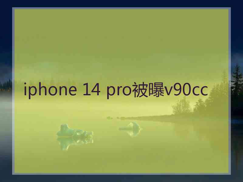 iphone 14 pro被曝v90cc