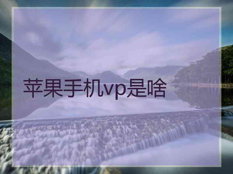 苹果手机vp是啥