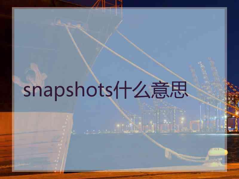 snapshots什么意思