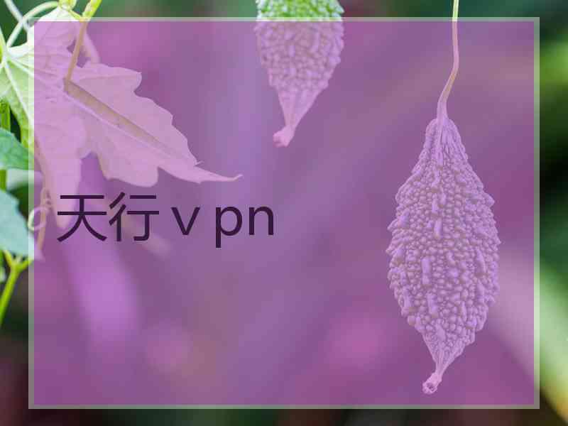 天行ⅴpn