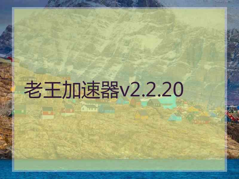 老王加速器v2.2.20