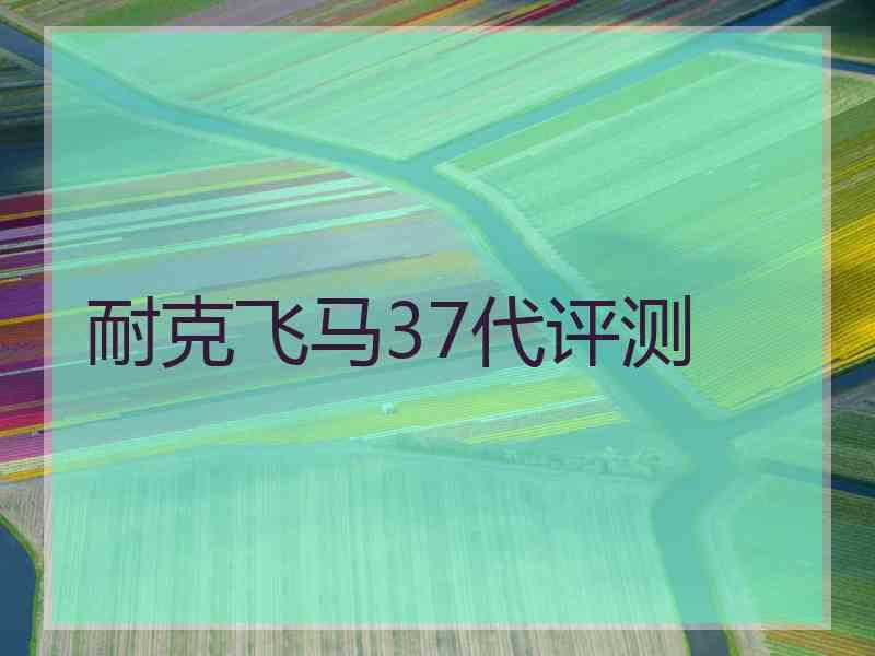 耐克飞马37代评测