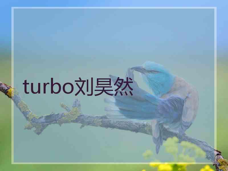 turbo刘昊然