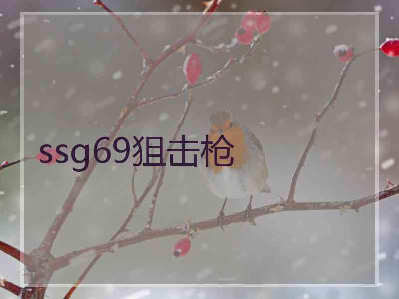 ssg69狙击枪