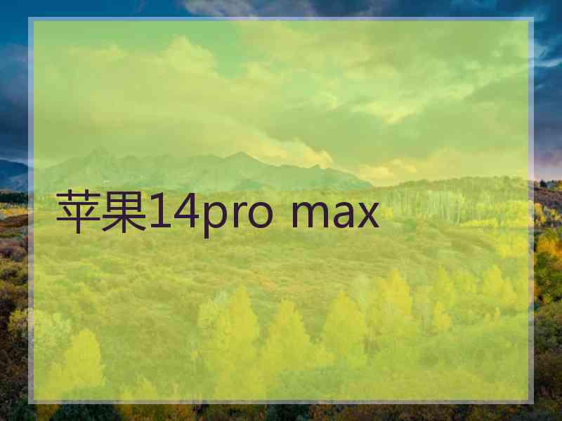 苹果14pro max