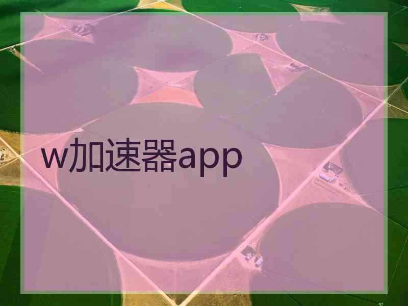 w加速器app