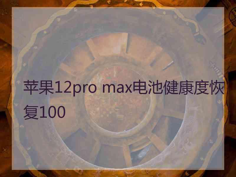 苹果12pro max电池健康度恢复100