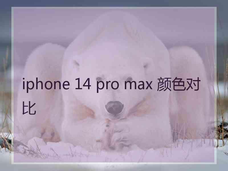 iphone 14 pro max 颜色对比