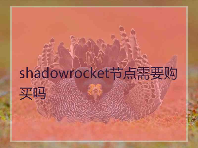 shadowrocket节点需要购买吗