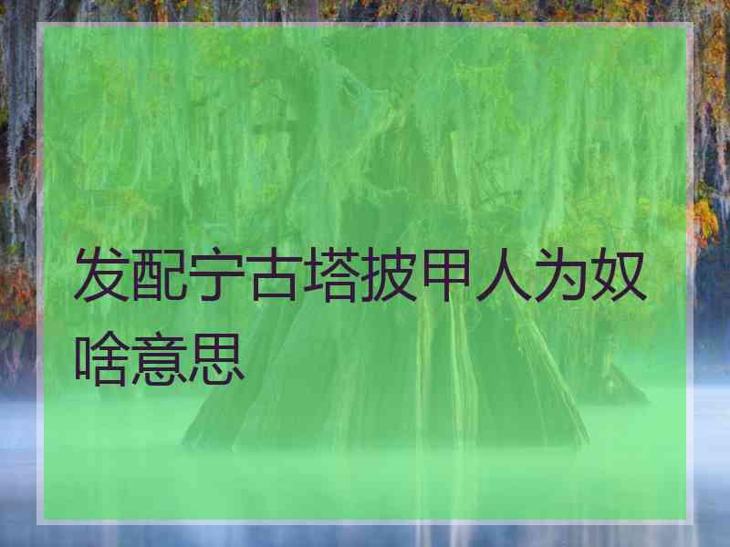 发配宁古塔披甲人为奴啥意思