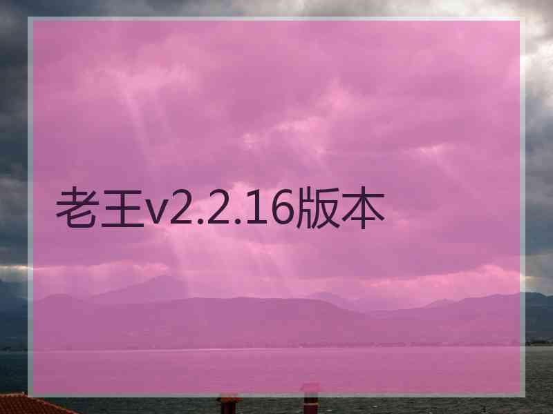 老王v2.2.16版本