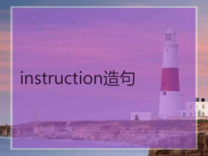 instruction造句