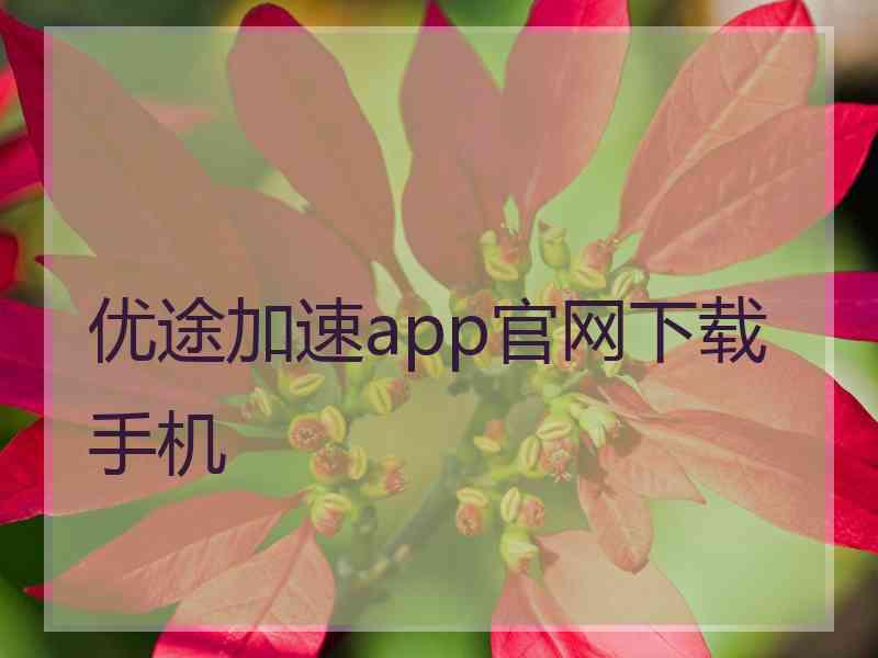 优途加速app官网下载手机