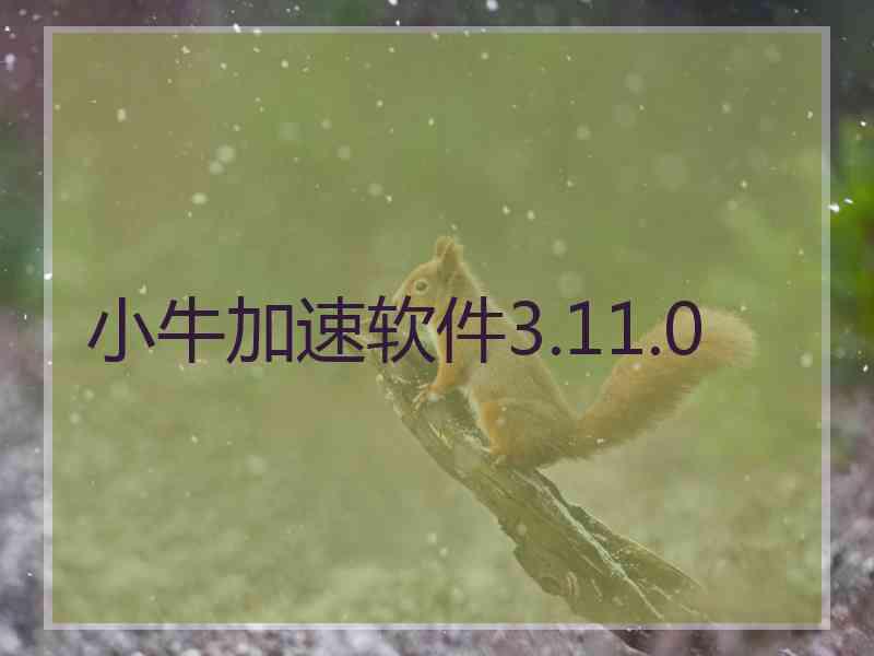 小牛加速软件3.11.0