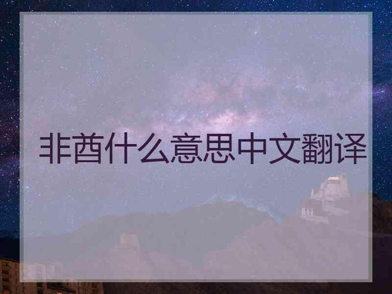 非酋什么意思中文翻译