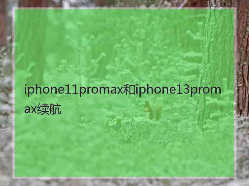 iphone11promax和iphone13promax续航