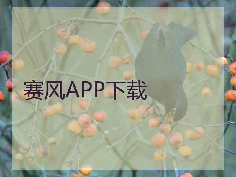 赛风APP下载