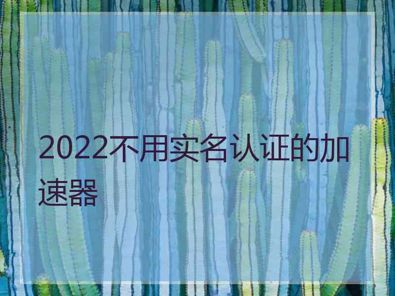 2022不用实名认证的加速器