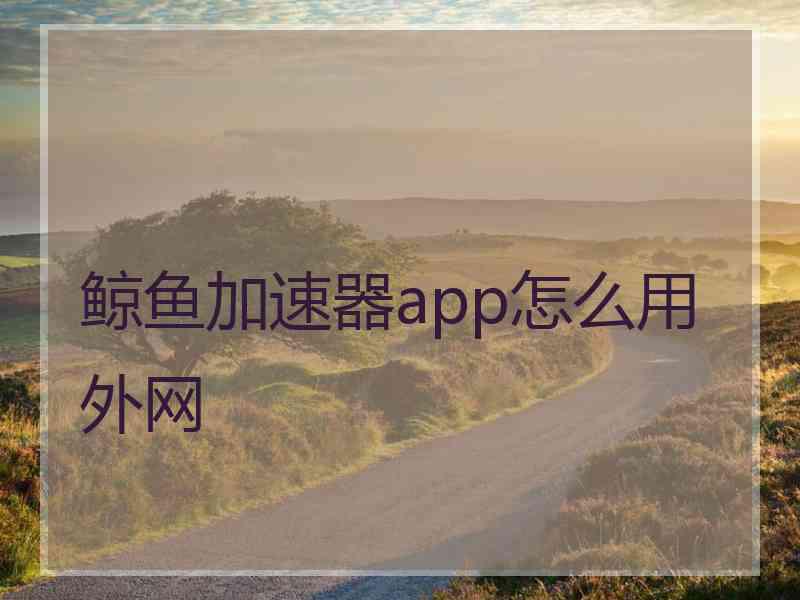 鲸鱼加速器app怎么用外网