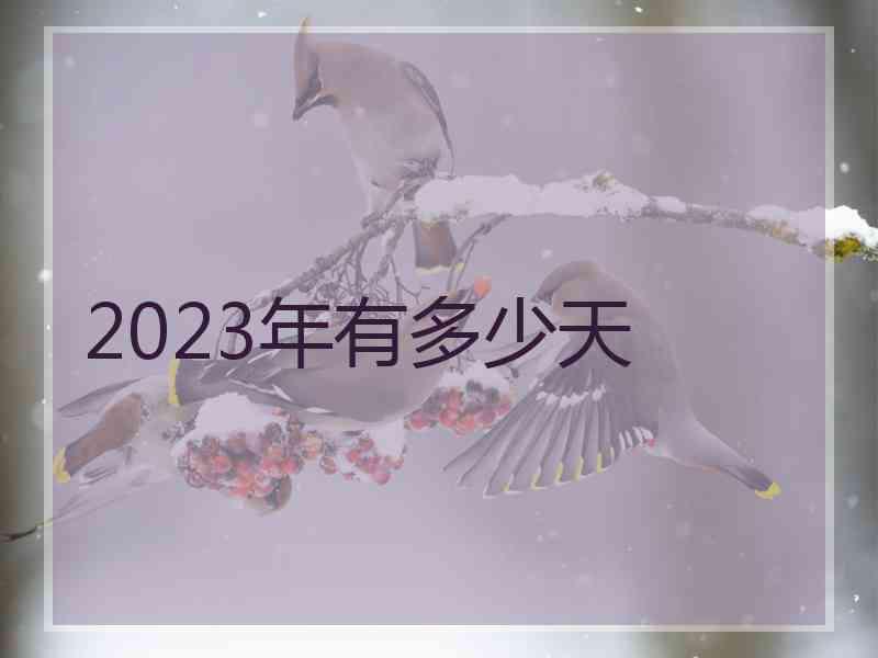 2023年有多少天