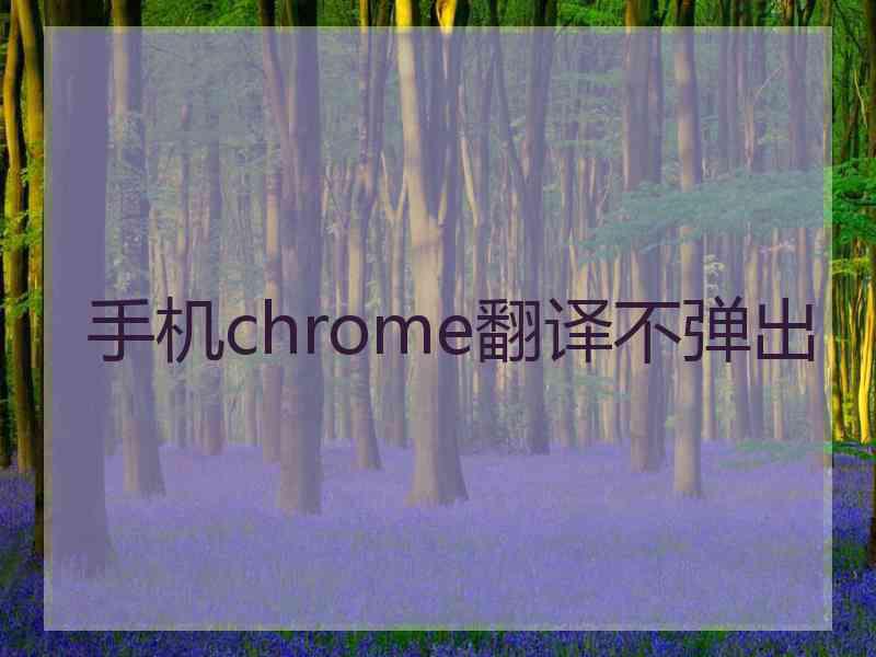 手机chrome翻译不弹出