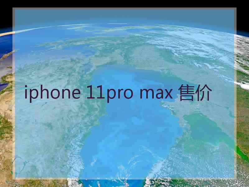 iphone 11pro max 售价