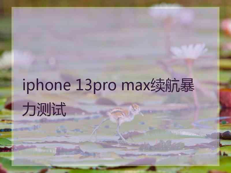 iphone 13pro max续航暴力测试