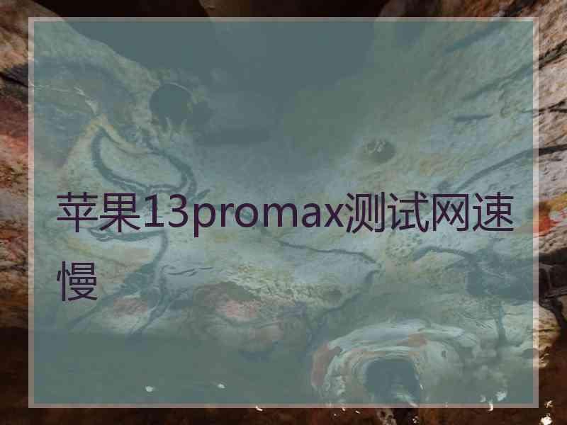 苹果13promax测试网速慢