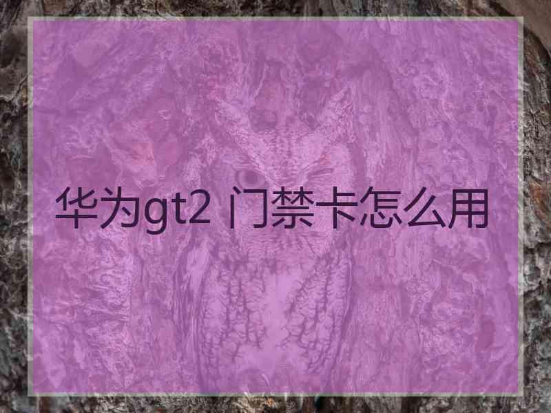 华为gt2 门禁卡怎么用