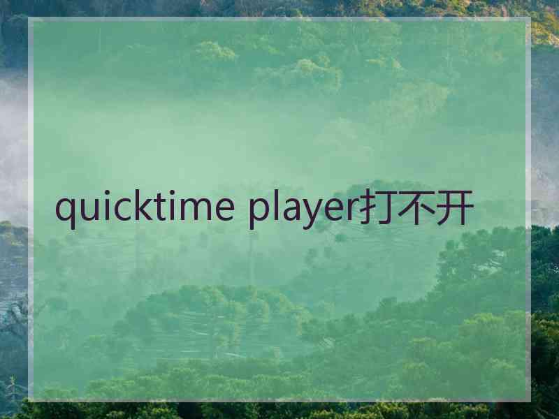 quicktime player打不开