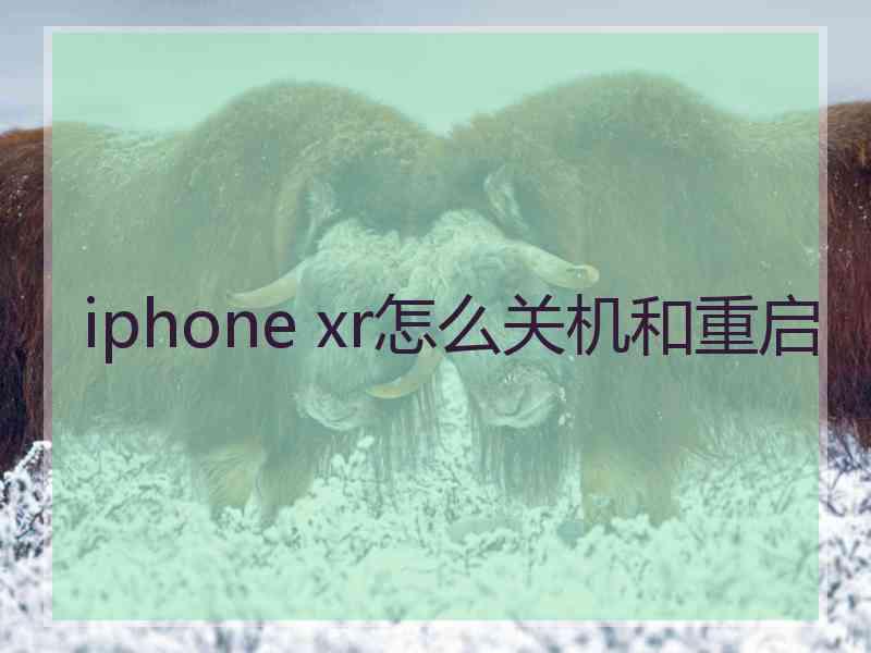 iphone xr怎么关机和重启