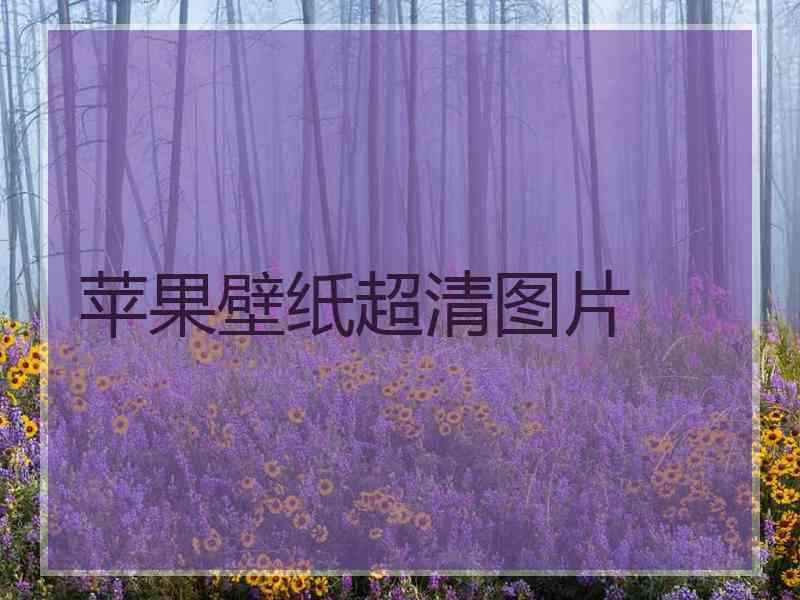 苹果壁纸超清图片