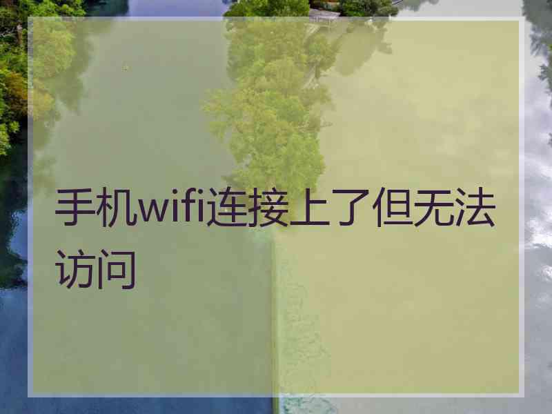 手机wifi连接上了但无法访问