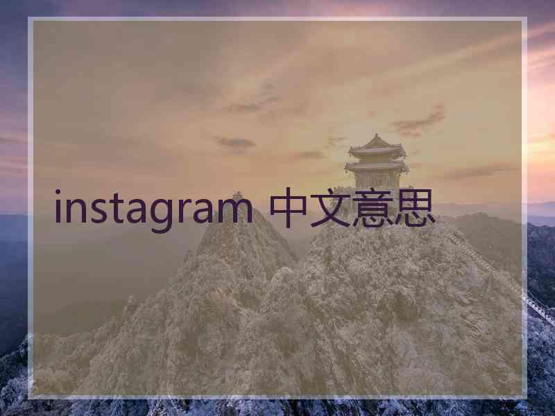 instagram 中文意思