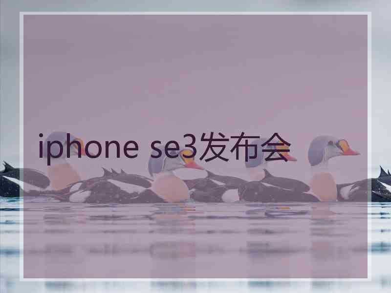 iphone se3发布会