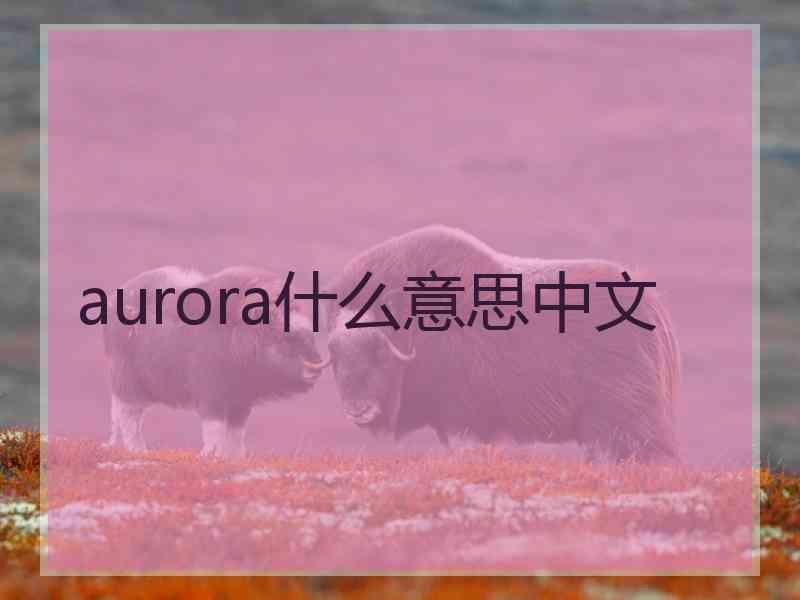 aurora什么意思中文